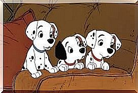 dalmatians