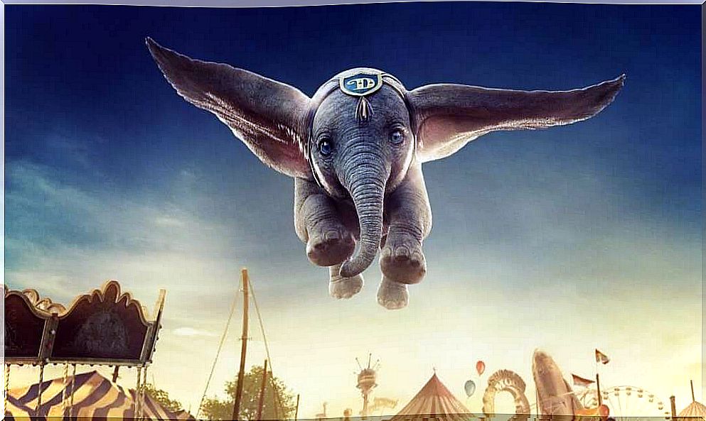 Dumbo: an update of the past