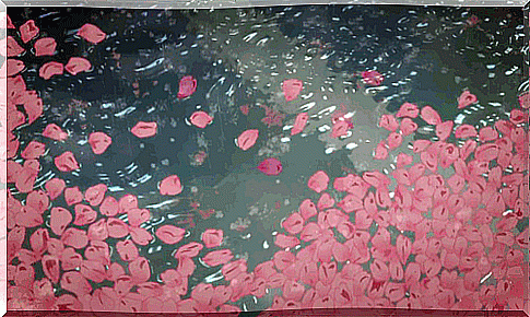 rain and flower petals