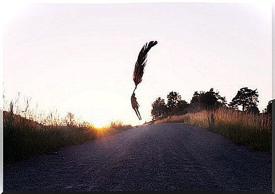 death characterized by a feather lifting a person to heaven