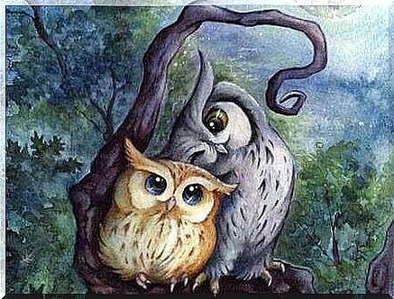 Couple-of-owls