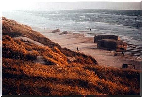 Bunkers on a beach.