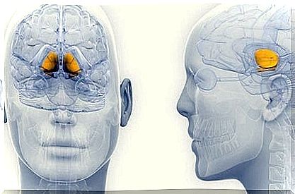 progressive supranuclear palsy and motor disorders