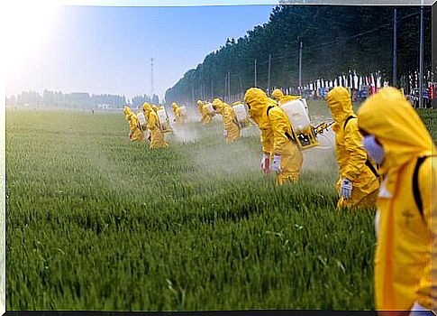 The effects of pesticides on the brain