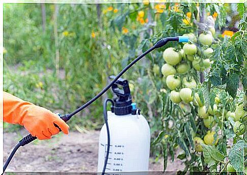 pesticide effects and development