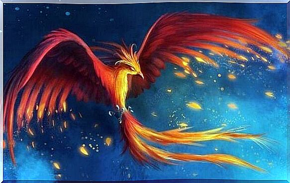 The myth of the Phoenix, or the wonderful power of resilience