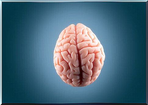 A brain on a gray background